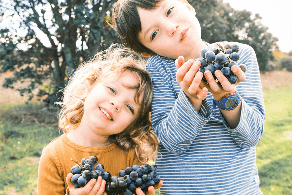 Healthy Kids Snacks: Reading Labels Like a Nutritionist