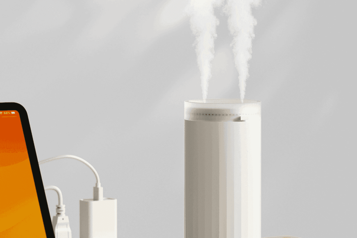 Winter Wellness: The Safest Humidifiers (And How to Clean Them)
