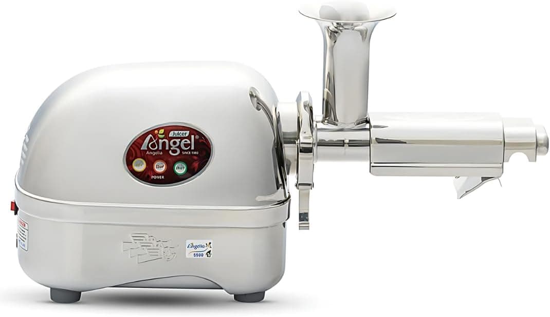 Angel Juicer AG-5500