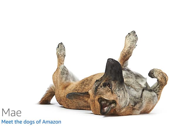 SimplyGoodCoffee THE BREWER - Plastic-Free Coffee Maker